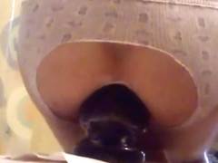 Ass servant anal plug