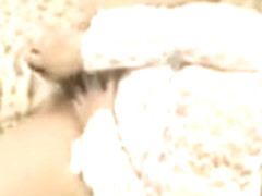 Forgetten Dreams - Continente Americano 19