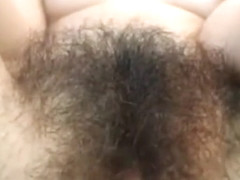 a very hairy bush