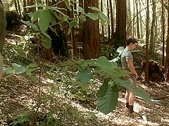 BoundGods : The Cabin A Story of Lust and Betrayal Part 2