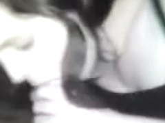 Wife giving great blow job