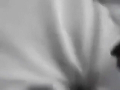 Pov blowjob video with hot