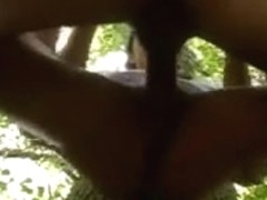 Drilled hard in the wood