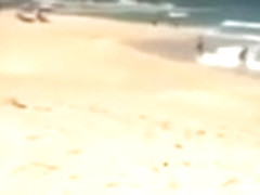 SAFADA PELADA NA PRAIA