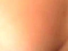 My wife's pointer GFs put to worthwhile use