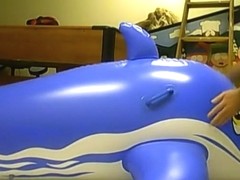 mating inflatable blue whale 3
