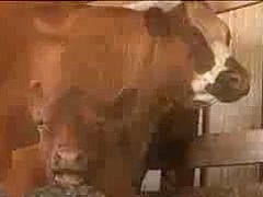 RS-To The Final Mate