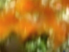 Never sit in the park when guys want to cumshot shark you