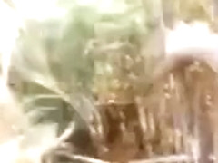 Vintage gay sexy fun on a beach