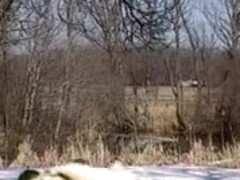 trampoline fuck sex in mid air crazy