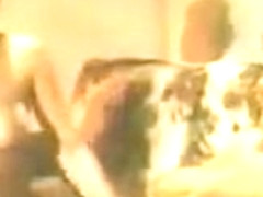 So... Who are you, whore?