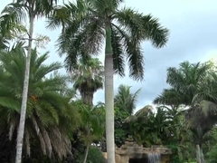 Jmac has fun with sexy big boobed Skylar