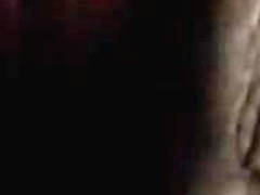 Anniligulus to rizoslinda mex