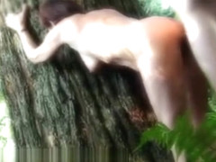 Babe Gets Fucked During Her Nature Walk