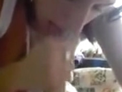 Cute wife sucking