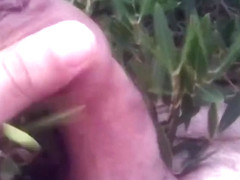 Walking naked for the road that goes to the sea