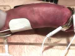 Subject cock estim precum